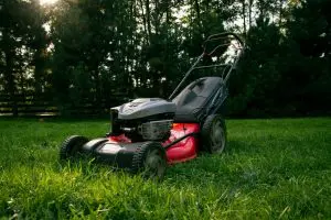 summer lawn maintenance