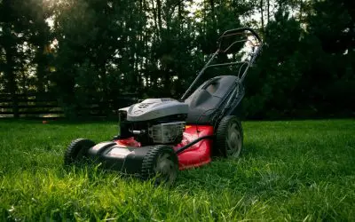 Tips for Summer Lawn Maintenance