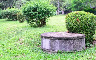 5 Septic Tank Maintenance Tips