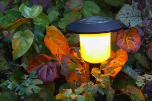 Solar Lighting