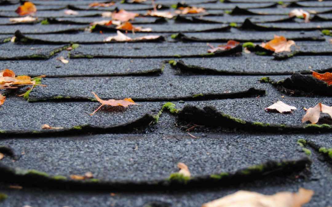 4 Signs That You Need a Roof Replacement