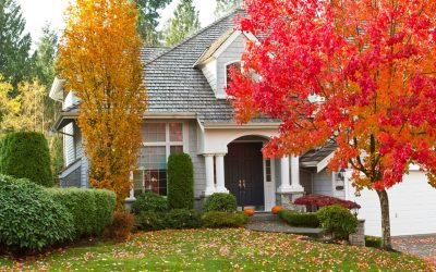 Caring for Your Trees in Fall
